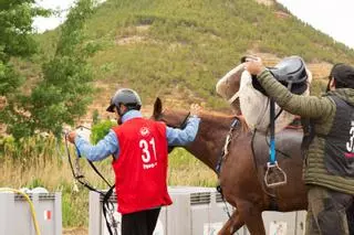 Ademuz se consolida como cuna de las carreras de caballos