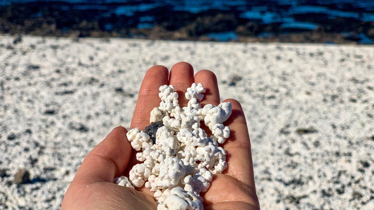 La &quot;Playa de las palomitas&quot; de Fuerteventura, el tesoro canario que hay que proteger