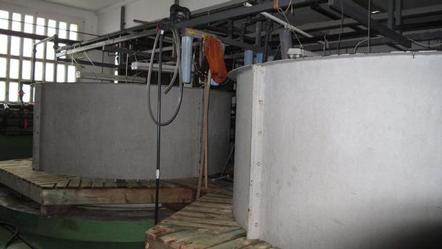 Parte de la nave de cultivos del IEO de Vigo, ubicado en Cabo Estai. |   // IEO