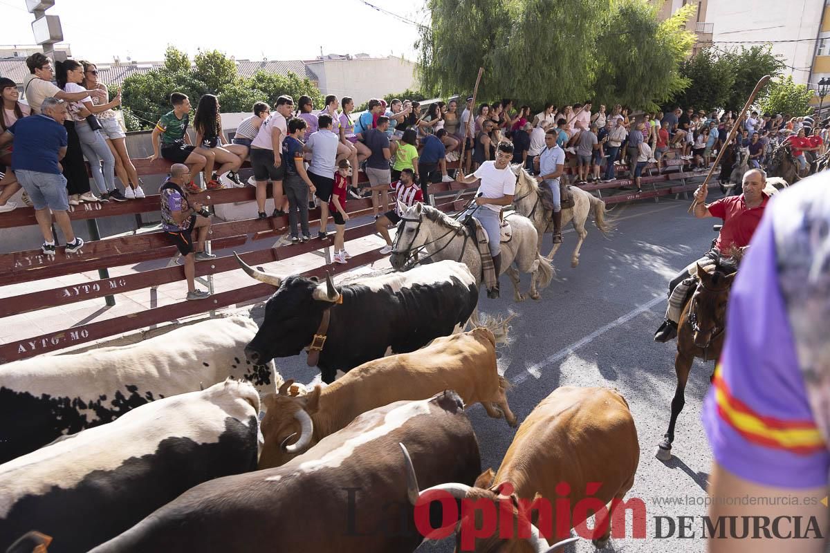 Primer encierro de las Fiestas de Moratalla