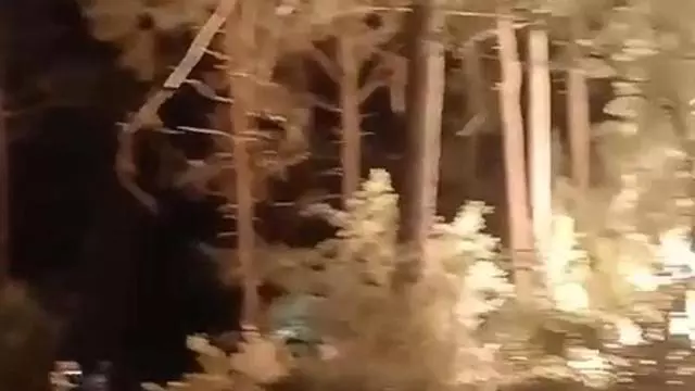 Trabajos con fuego técnico en el incendio de Las Peñas de Riglos esta noche