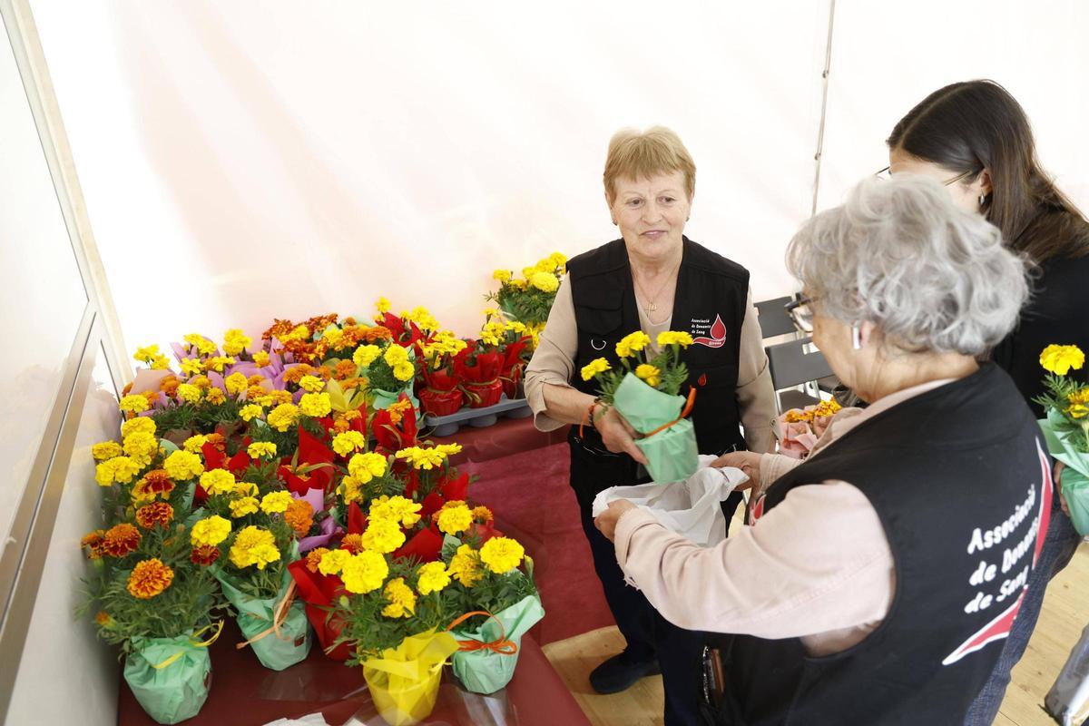 Els donants marxaven a casa amb una torratxa, un regal que celbra el final de Temps de Flors.