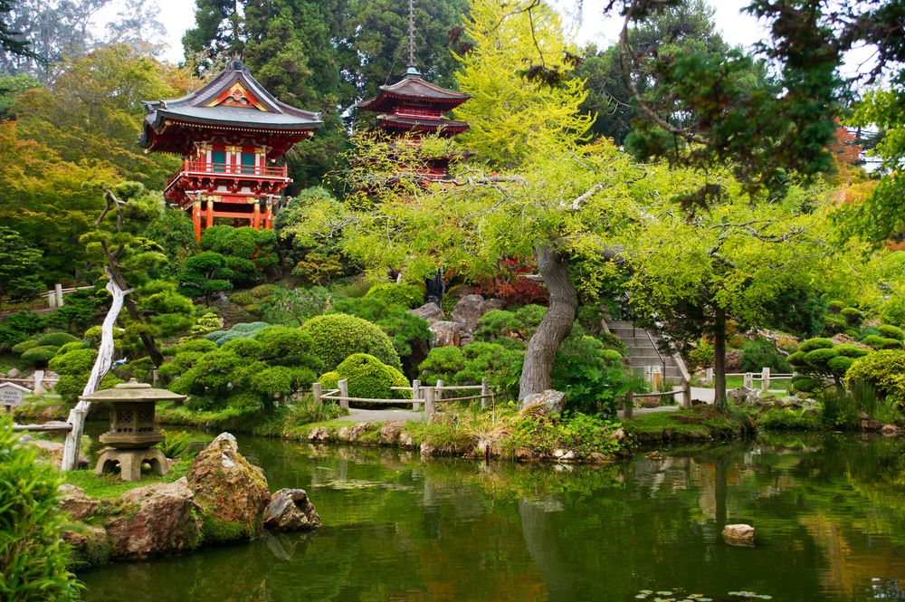 Golden Gate Park, San Francisco.jpg