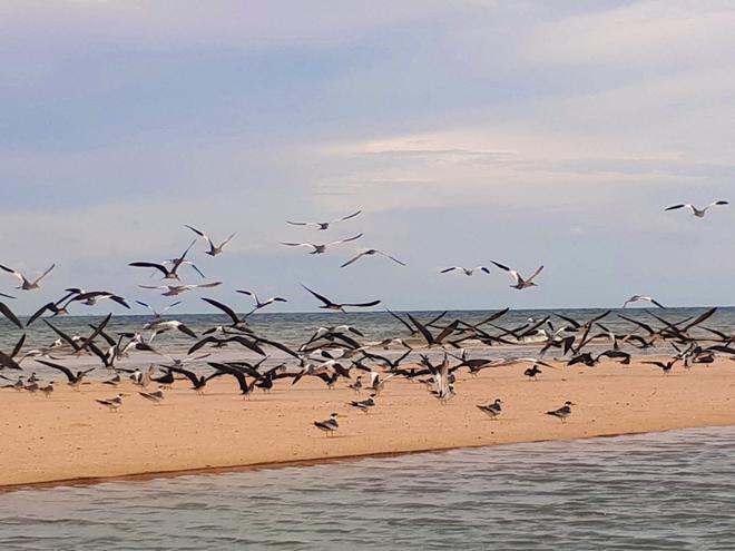 Alter do Chao, playa más bonita Brasil