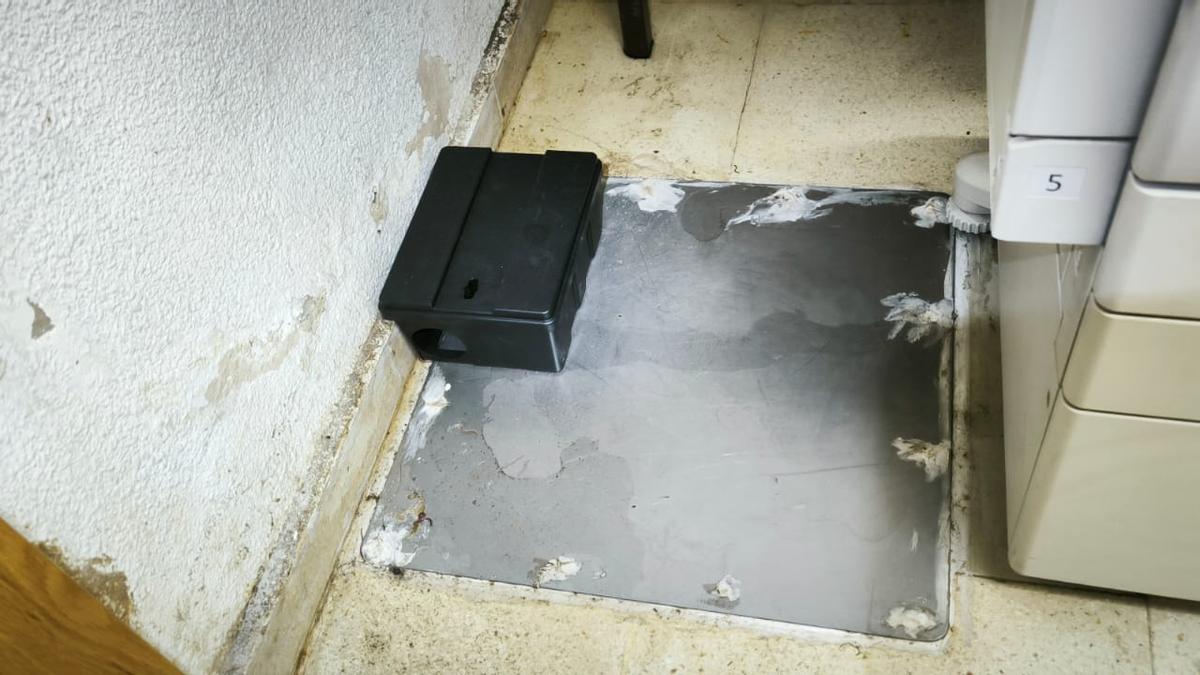 El lugar del que, según los trabajadores, brotan olores pestilentes y charcos en la oficina del DNI de la calle Isaac Albéniz de Murcia.