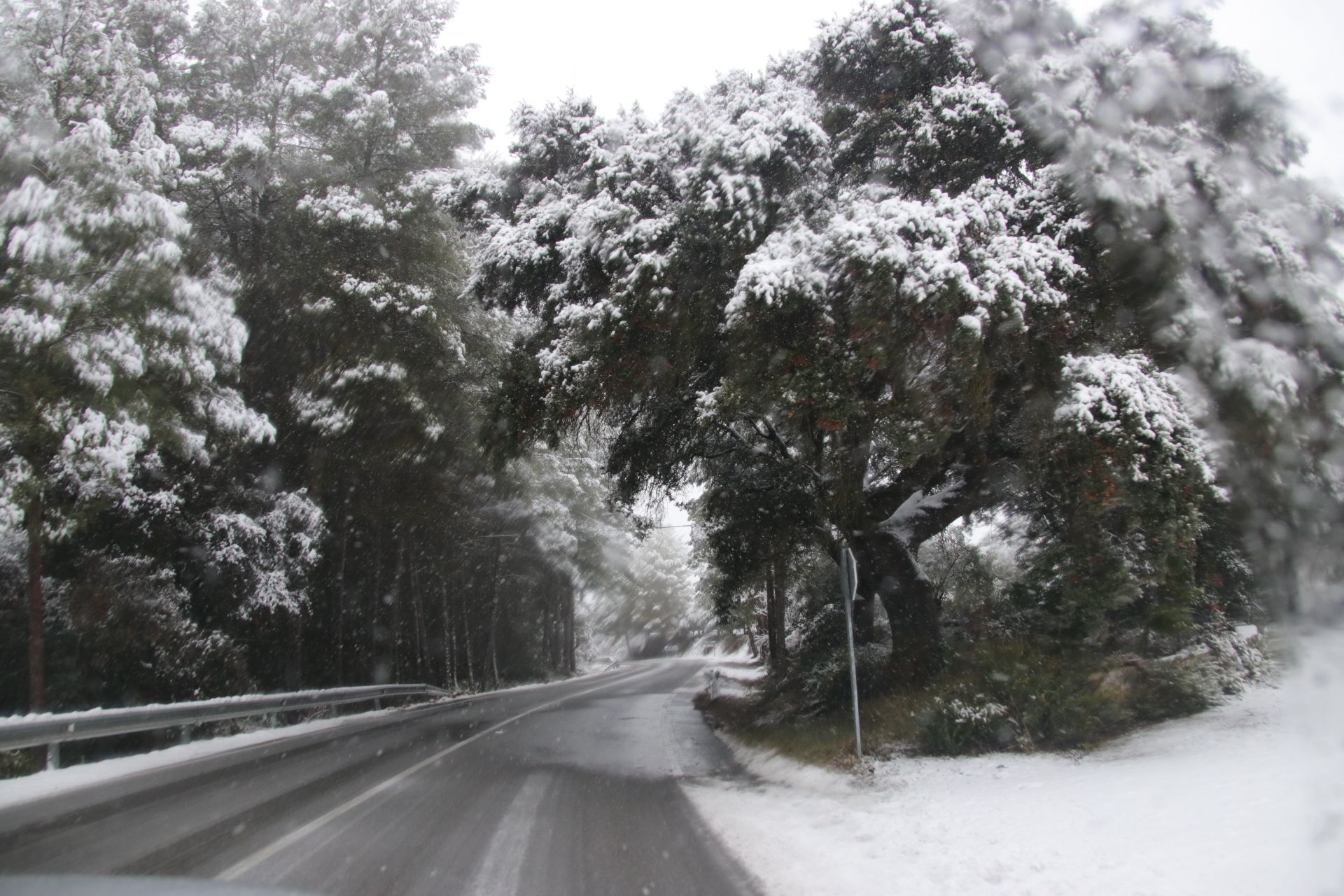 El temporal de nieve en la carretera que va desde Banyeres al Preventorio de Alcoy.