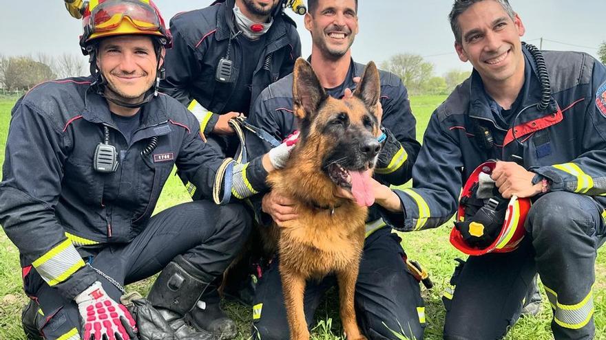 Los bomberos de Madrid rescatan a un perro del interior de un pozo