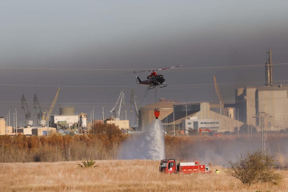 Incendio forestal en el Marjal dels Moros en Sagunt