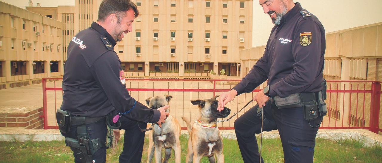 La gran familia de la Unidad de Guías Caninos crece con la llegada de dos cachorros