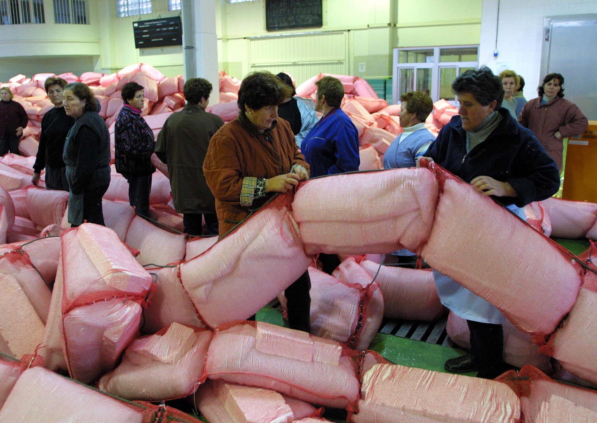 Mariscadoras de O Grove cosen barreras anticontaminación en la lonja.