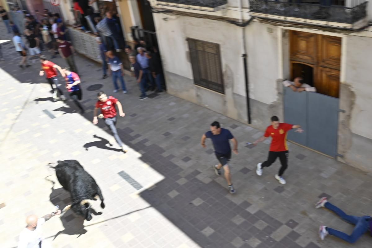 Galería | Almassora vibra con el encierro de cerriles de Gerardo Ortega