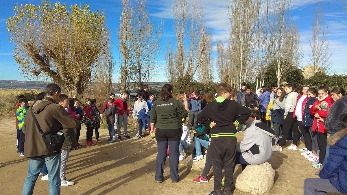 Actividad medioambiental al aire libre