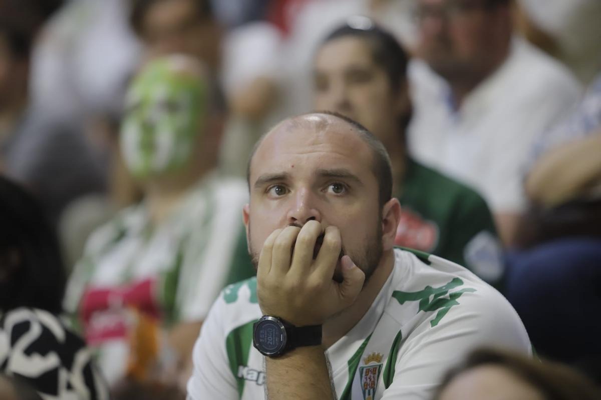 Un aficionado pensativo durante el partido entre el Córdoba Futsal y el Ribera Navarra en Vista Alegre.