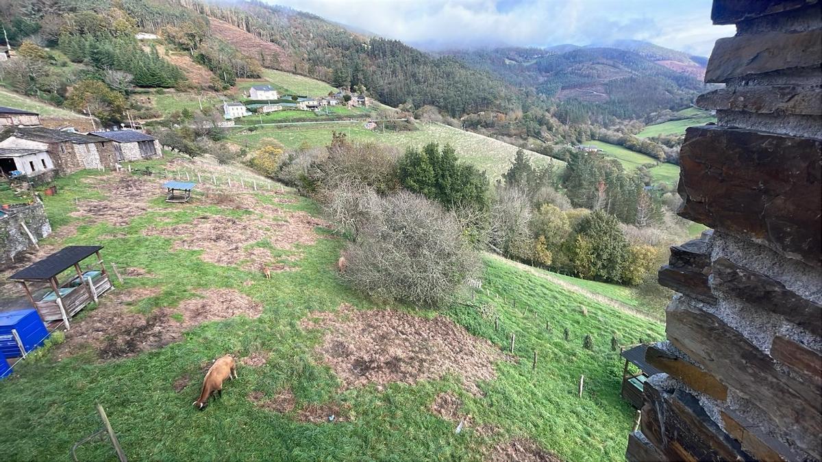 La zona trasera del Ayuntamiento por la que discurrirá el nuevo vial.