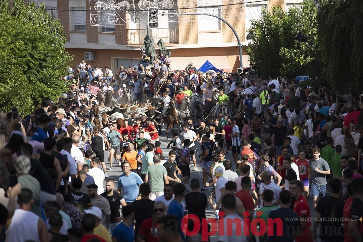 El segundo encierro de las Fiestas de Moratalla se salda con un herido