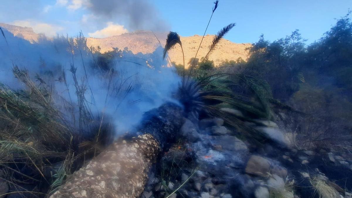 Conato de incendio en Mogán.