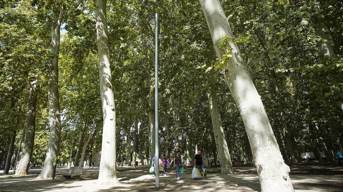 Una imatge d'arxiu del parc de la Devesa.