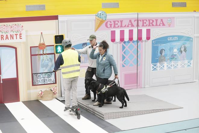 Los perros guía exhiben sus habilidades en Palma