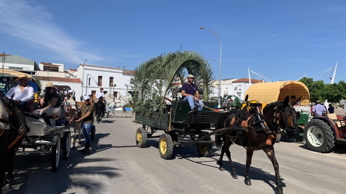 Carretas en la romería de San Isidro de Los Santos de Maimona