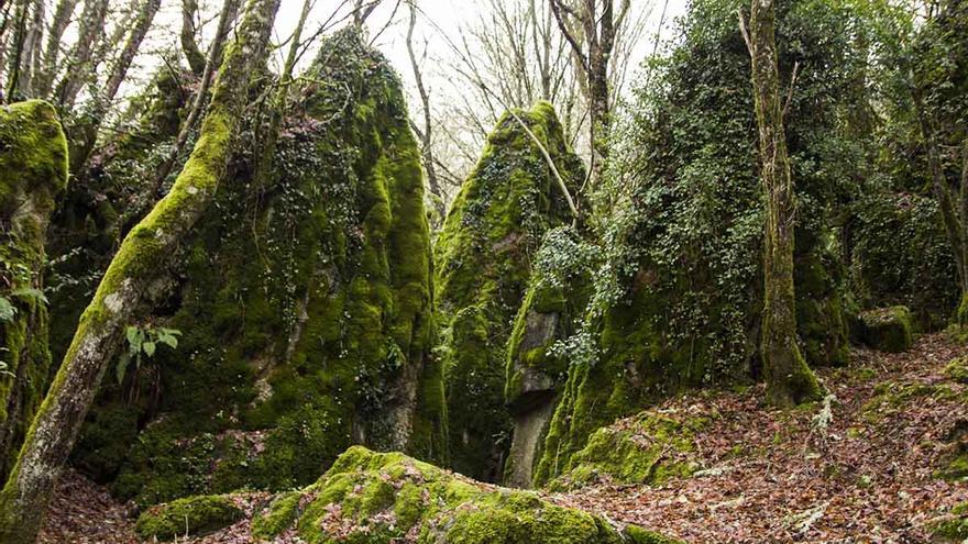 El bosque mágico de Os Grobos, donde la erosión modeló las rocas a capricho