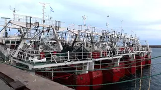 Cuarenta días para remendar el destrozo del langostino