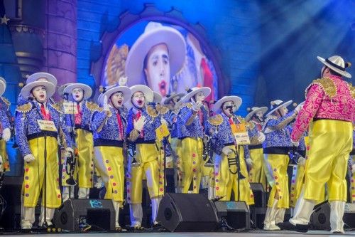 Final del concurso de murgas del Carnaval 2014. En la imagen, Los Nietos de Kika