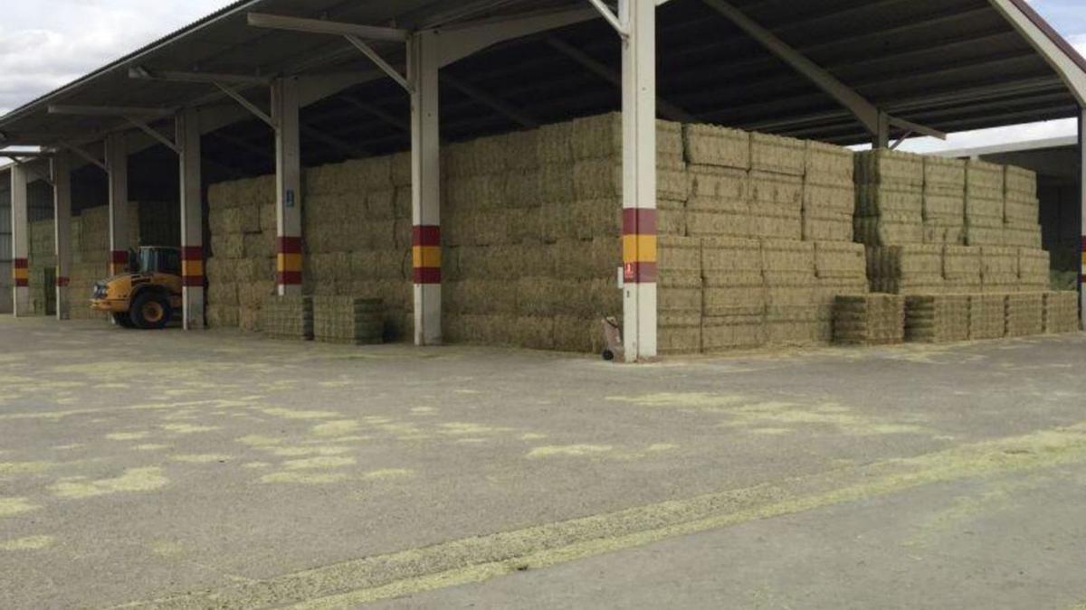 La alfalfa apilada lista para ser exportada a los principales mercados internacionales.   | SERVICIO ESPECIAL