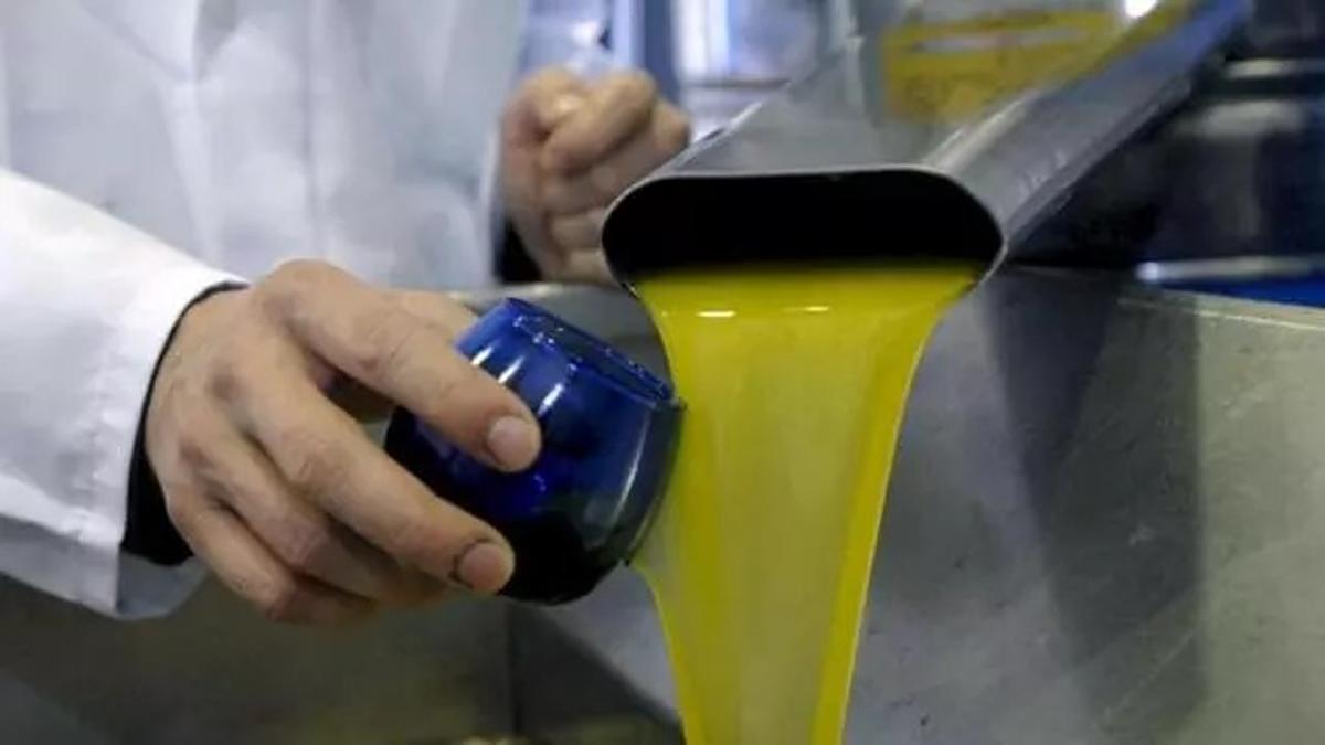 Un operario de una almazara de Córdoba recoge una muestra de aceite de oliva.