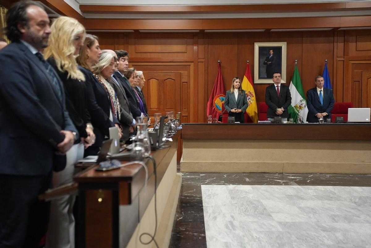 Córdoba. Fotos del pleno del Ayuntamiento de Córdoba del 13 de noviembre. Protestas de Aucorsa e Hitachi
