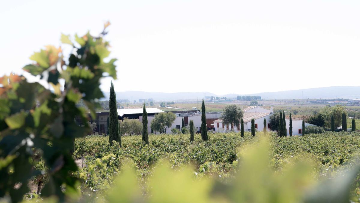 La finca Chozas Carrascal se ubica en uno de los parajes más bellos de la DO Utiel-Requena.