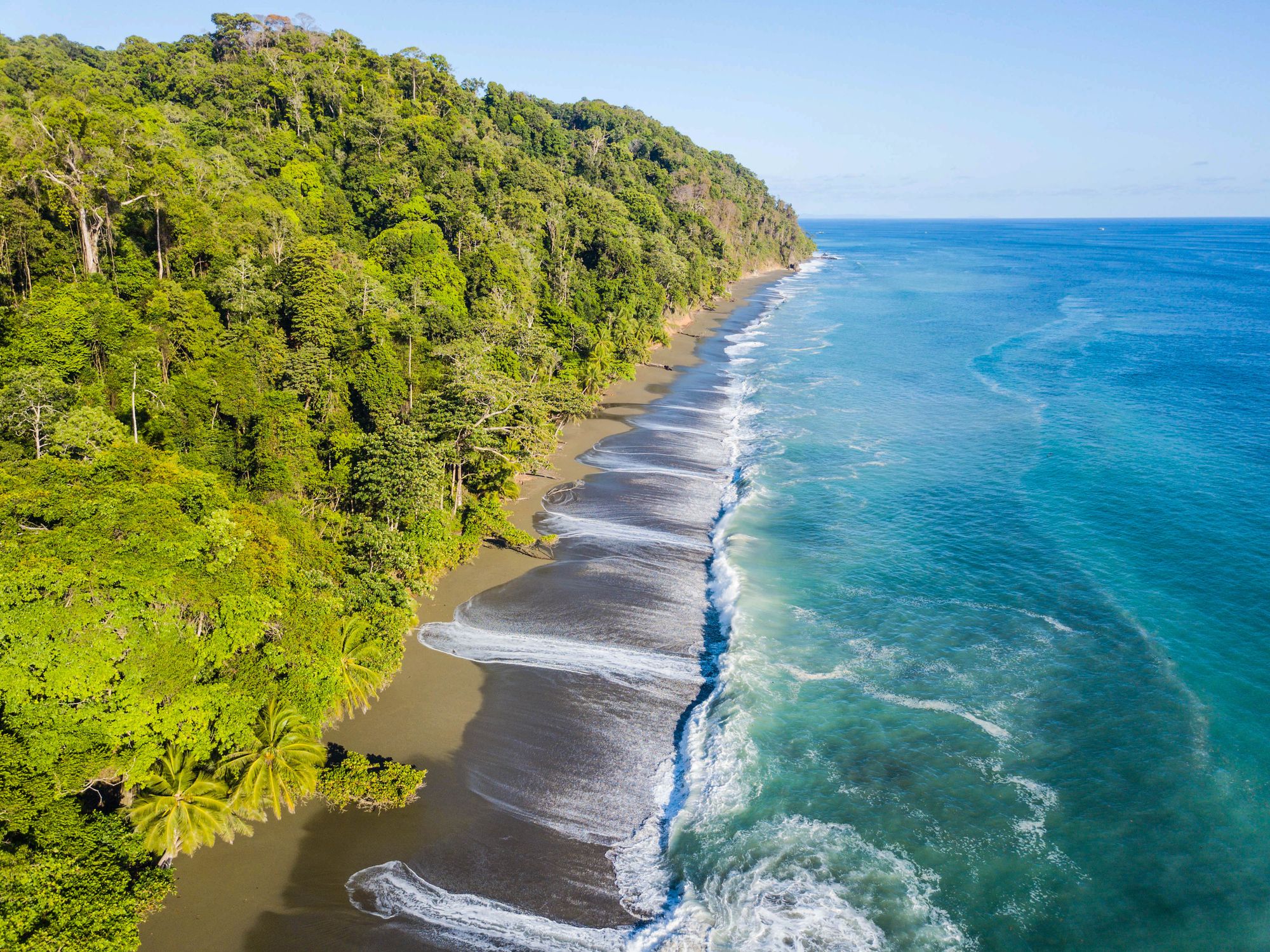 El hogar de las ranas de ojos rojos costarricenses: la magnífica selva del Parque Nacional Corcovado