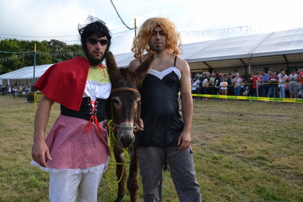 Carrera de burros en Pañeda