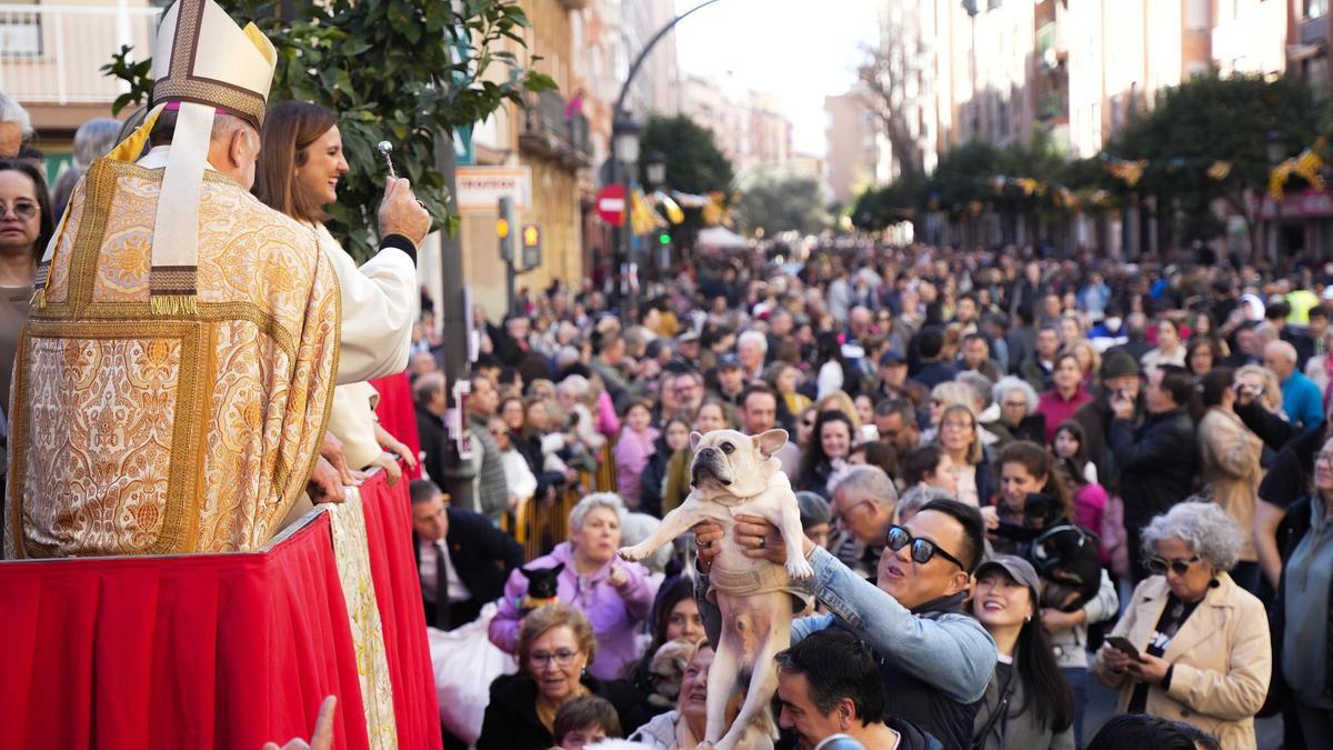 Arzobispo y alcaldesa, en la tribuna, sobre una auténtica riada de personas con sus mascotas