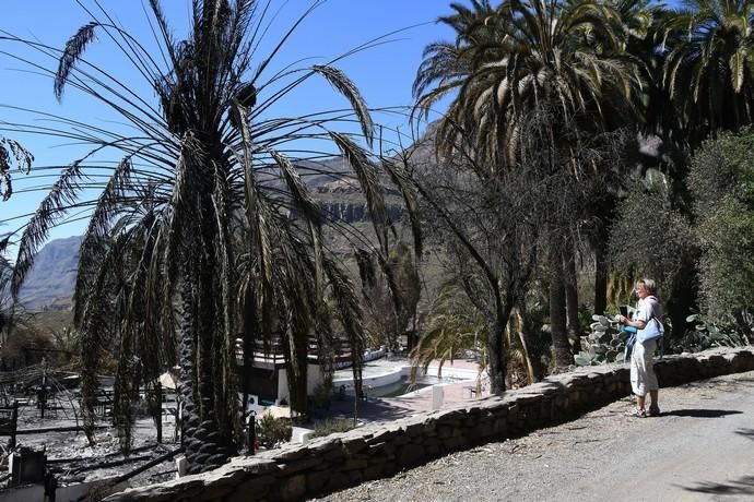 18/03/2019 FATAGA. SAN BARTOLOME DE TIRAJANA.  Incendio en Fataga, en la Finca Rural, Molino de Agua. Fotografa: YAIZA SOCORRO.  | 18/03/2019 | Fotógrafo: Yaiza Socorro