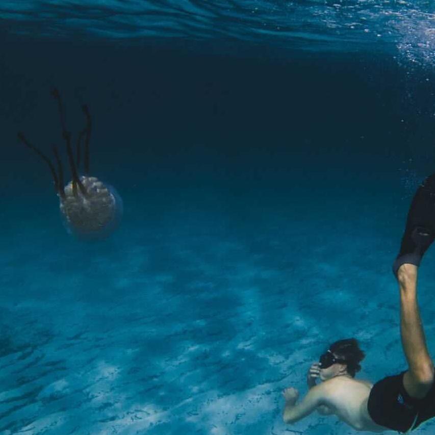 Una medusa de más de un metro en ses Salines