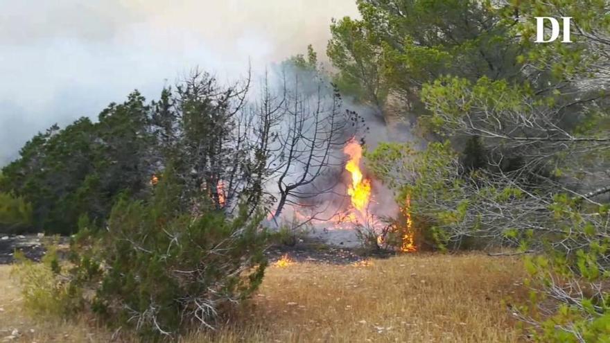 Incendio en la zona de Cala Saona (julio 2017)