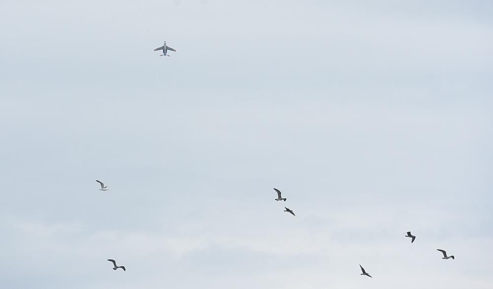 El Festival Aéreo de Gijón, en imágenes