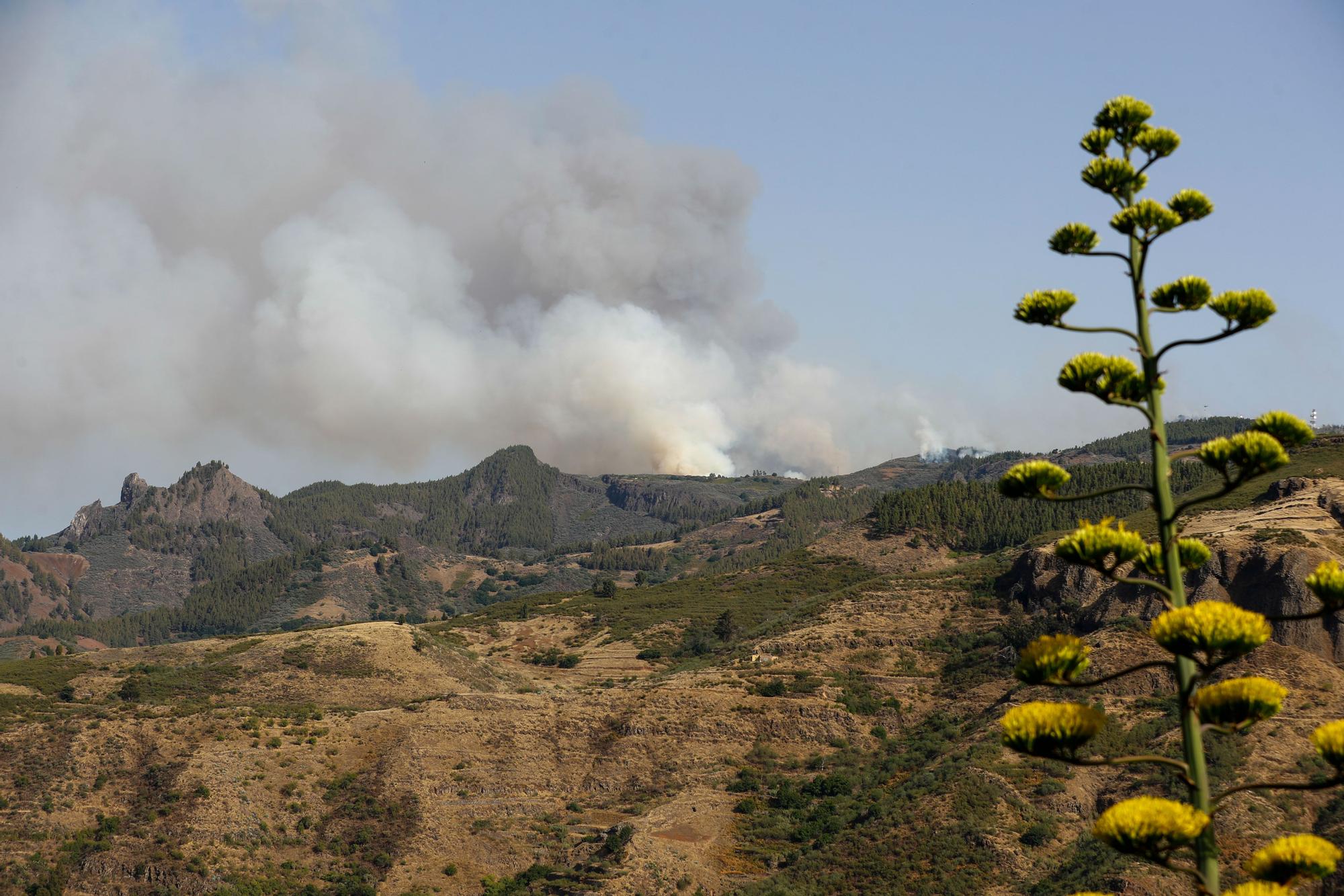 Incendio en la Cumbre de Gran Canaria