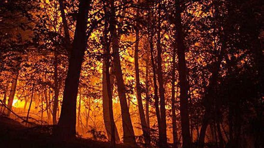 Incendio forestal, el pasado septiembre, en A Gudiña (Ourense).