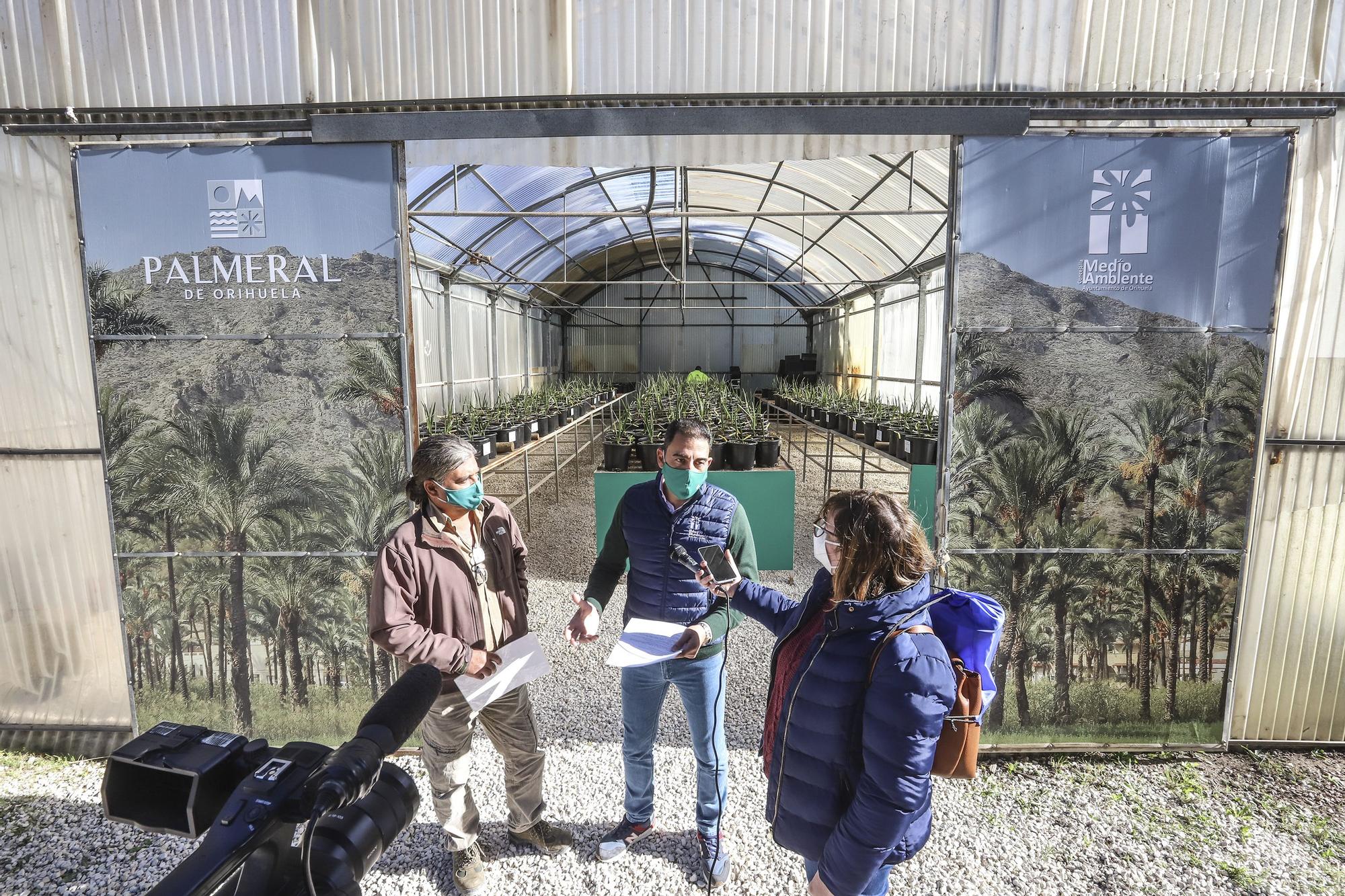 Visita del concejal Dámaso Aparicio al invernadero del Palmeral de Orihuela