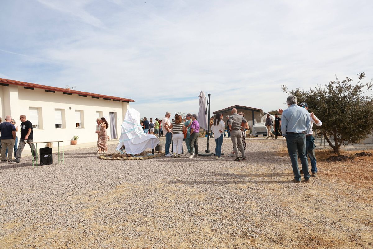 Fotogalería | Así es el nuevo albergue para animales de Cáceres