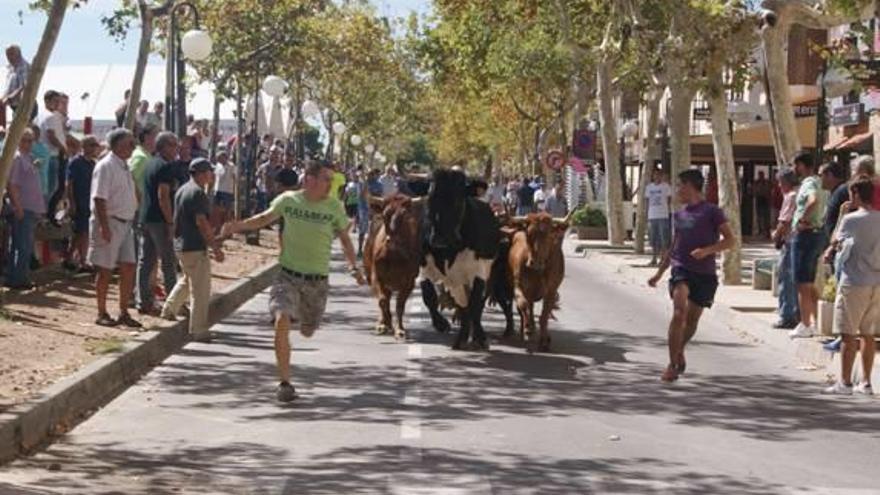 Los toros llegan al programa de Santo Tomás