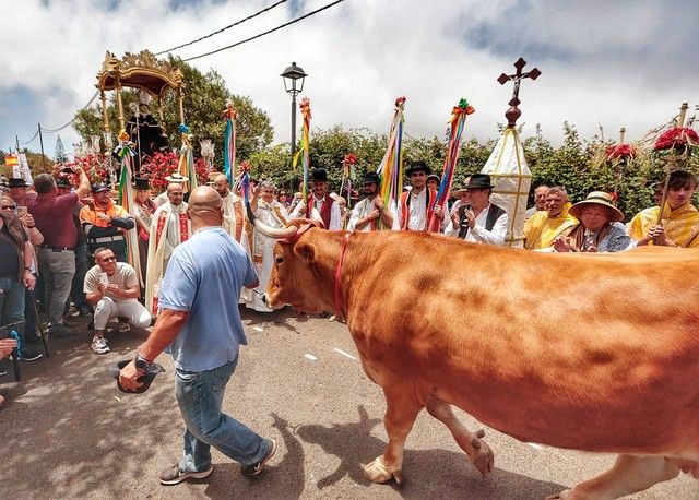 Feria de ganado y procesión por las Fiestas de San Benito en La Laguna, julio 2022