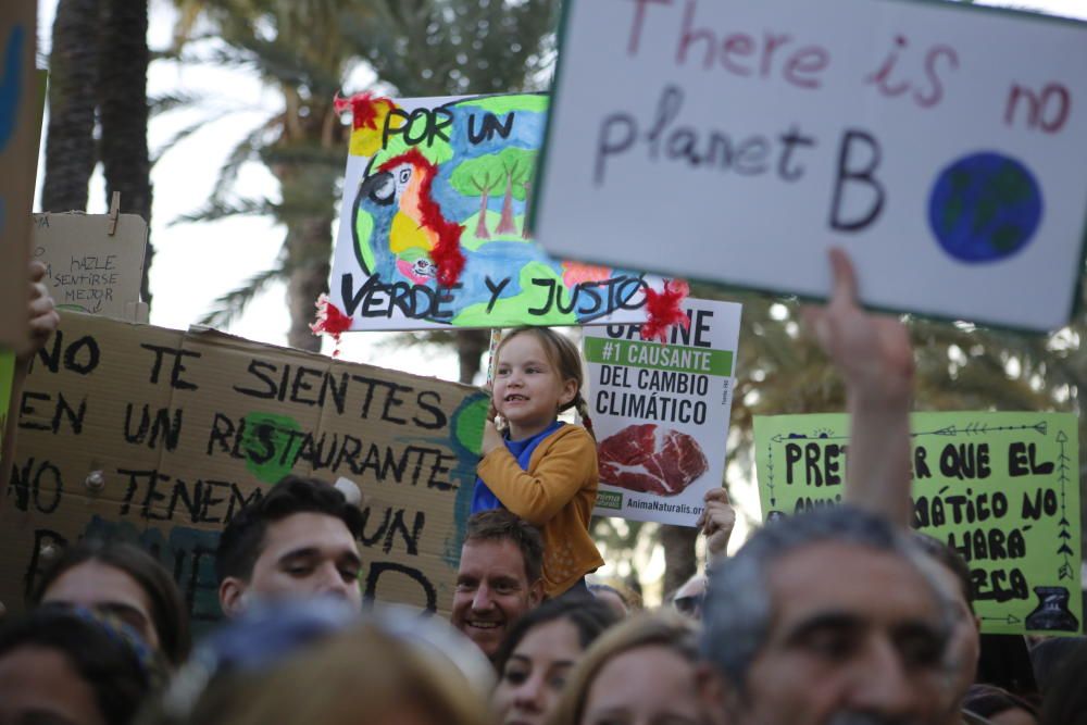 Clamor joven en Alicante contra el cambio climático