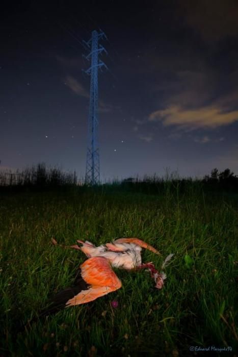 Fotografies de l'Empordà d'Eduard Marquès