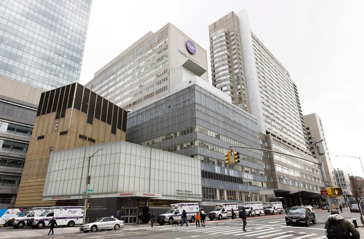 Trasplantan con éxito corazones de cerdo modificados a humanos fallecidos