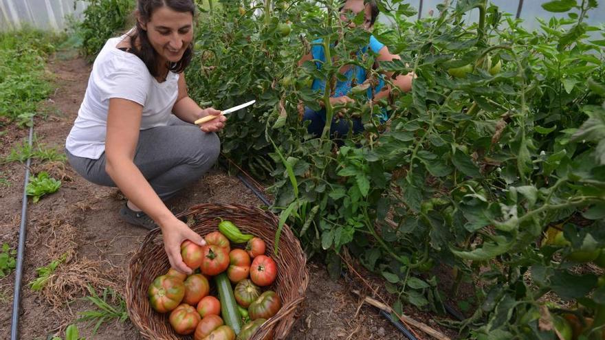 Agricultura ecológica, un sector de futuro