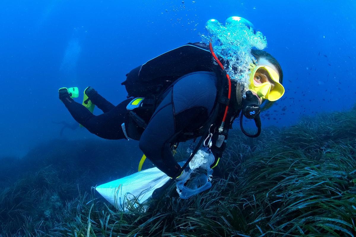 Más de 500 voluntarios limpian los fondos marinos de la Región