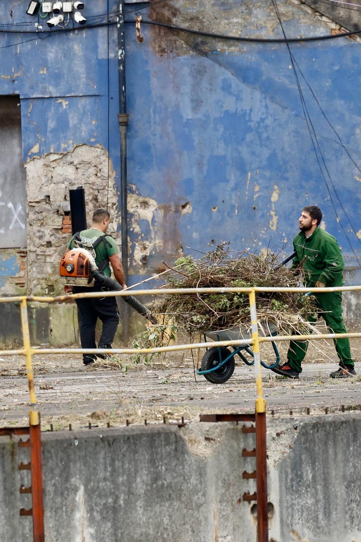 Pymar arranca los trabajos de limpieza en sus terrenos de Naval Gijón (en imágenes)