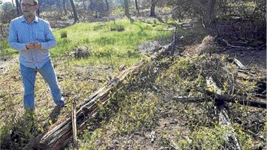 El técnico municipal Antonio Vizcaíno, en el núcleo de la zona arrasada por el fuego.